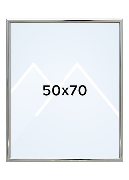 Focus Lily Bilderamme. - Sølv, 50x70