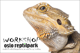 EV-3531 - Praktisk makro - Oslo Reptilpark - 15.mai