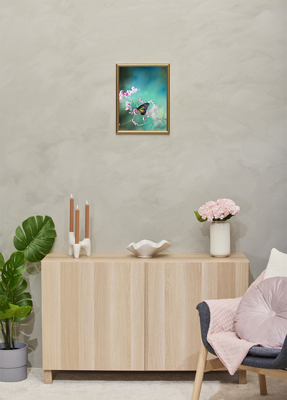 Focus Tango Bilderamme - Gull, 30x40