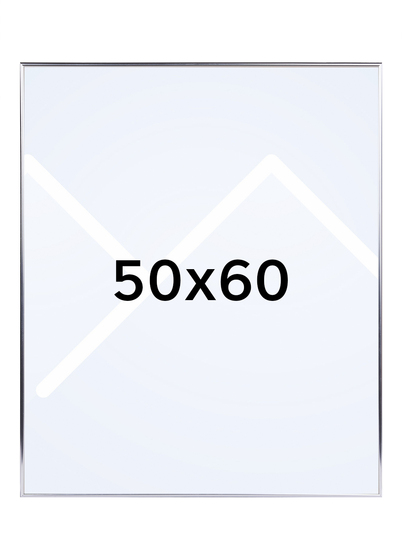 Focus Can-Can Bilderamme - Sølv, 50x60