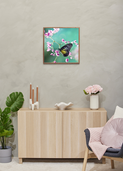 Focus Soul Plexi Bilderamme - Valnøtt, 50x50