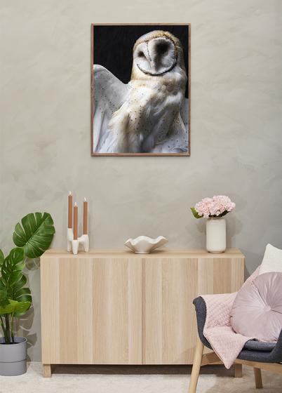 Focus Soul Plexi Bilderamme - Valnøtt, 60x80