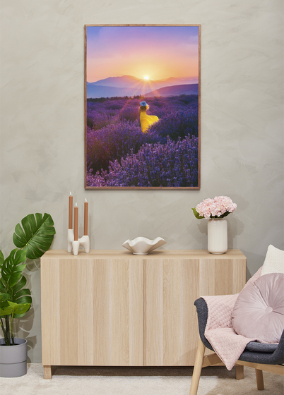 Focus Soul Plexi Bilderamme - Valnøtt, 70x100