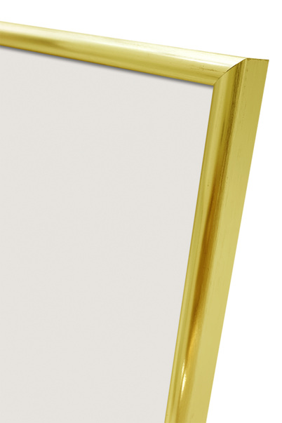 Focus Lily Bilderamme. - Gull, 10x15