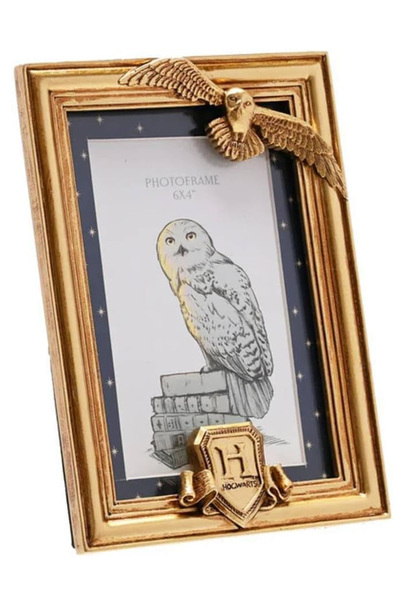 Harry Potter Hedwig Bilderamme - Gull, 10x15