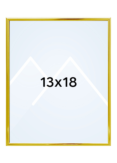 Focus Lily Bilderamme. - Gull, 13x18