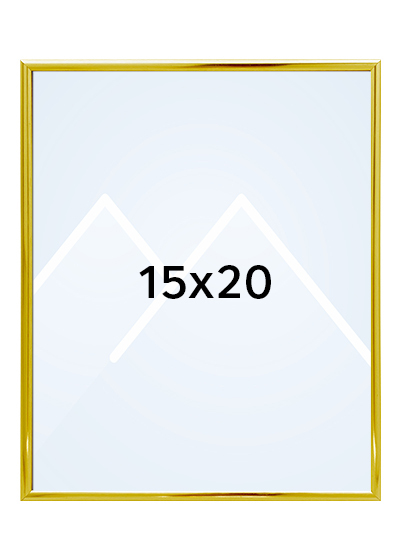 Focus Lily Bilderamme. - Gull, 15x20