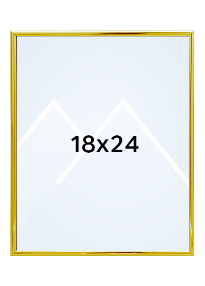 Focus Lily Bilderamme. - Gull, 18x24