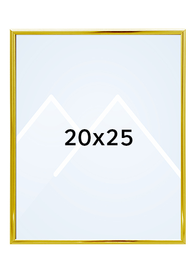 Focus Lily Bilderamme. - Gull, 20x25