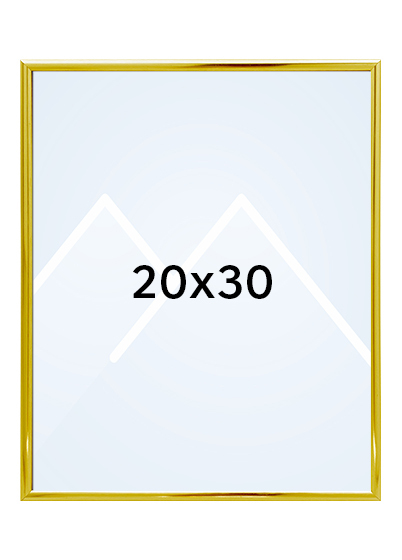 Focus Lily Bilderamme. - Gull, 20x30