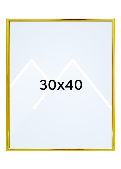 Focus Lily Bilderamme. - Gull, 30x40