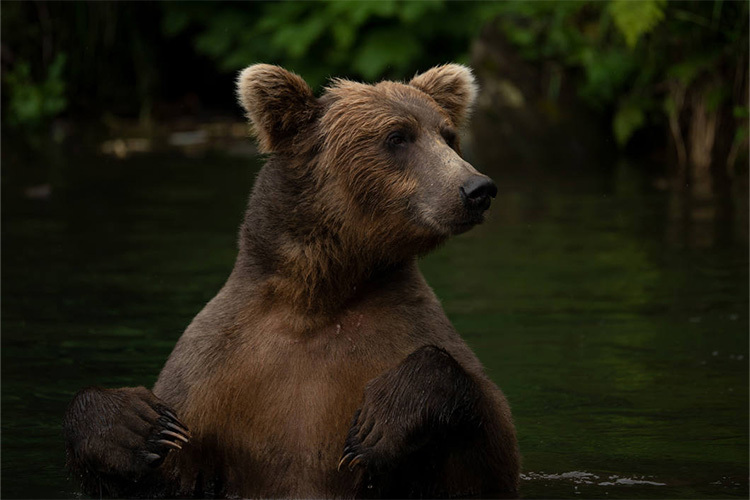 Tamron 150-500 f/5-6.7 Di III VC VXD for Nikon Z