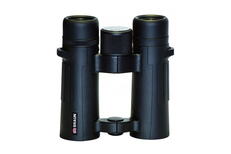 Braun Compagno 8x34 WP