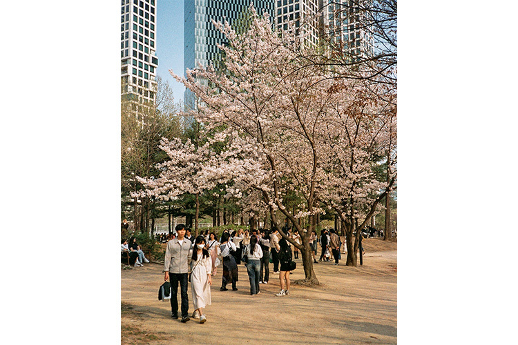 CANDIDO 135 Fargefilm ISO 200 36 Bilder