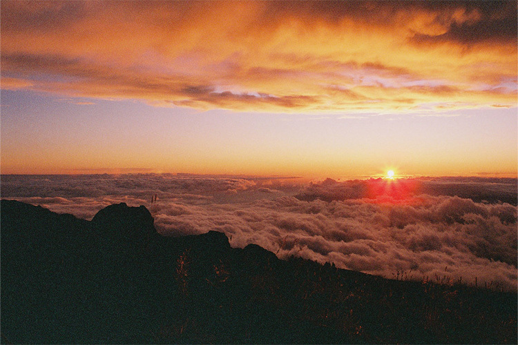 CANDIDO 135 Fargefilm ISO 400 36 Bilder