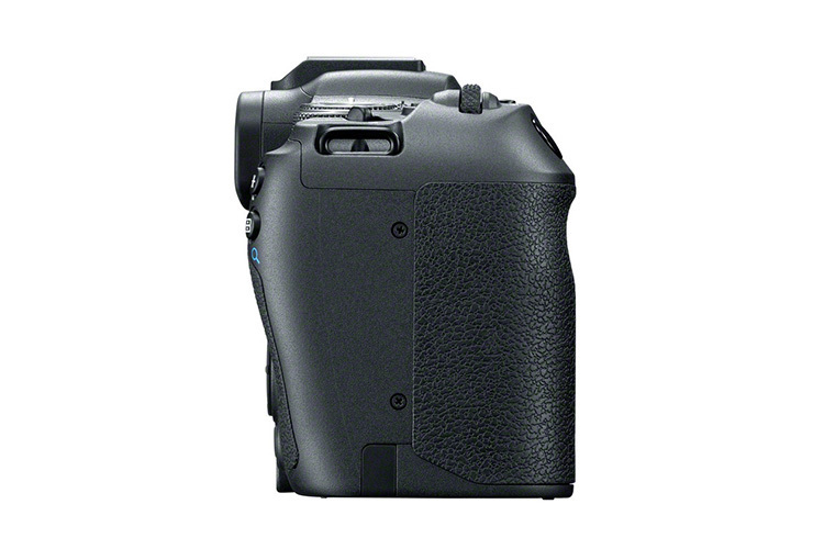 Canon EOS R8 + RF 24mm 1.8 Macro IS STM