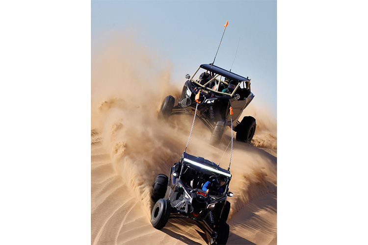 Canon RF 1200mm f/8 L IS USM