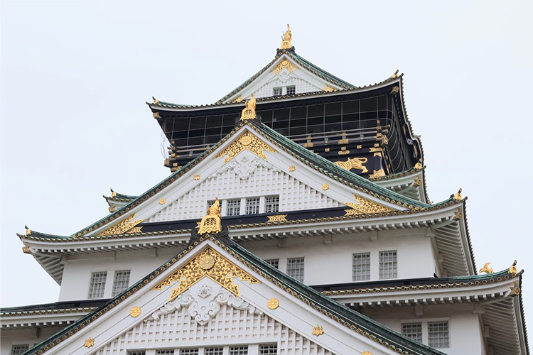 Canon RF-S 18-45mm f/4.5-6.3 IS STM