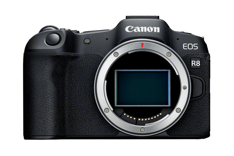 Canon EOS R8 Hus