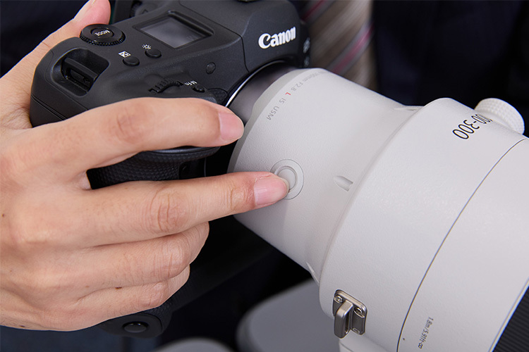 Canon RF 100-300mm f/2.8 L IS USM