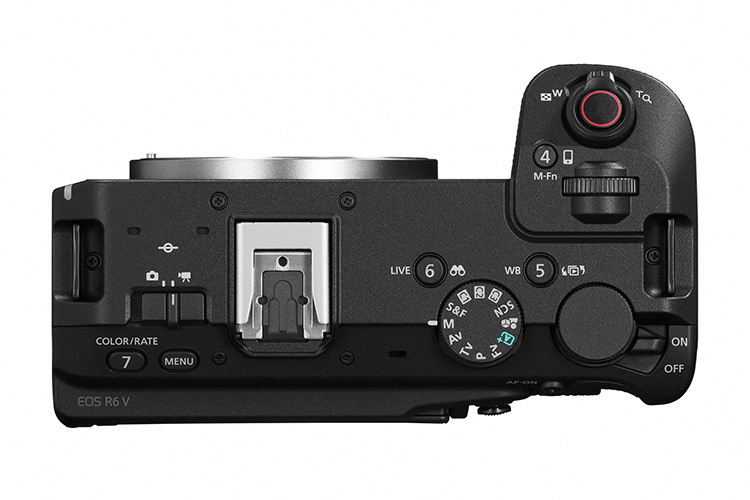 Canon EOS R6 V + RF 20-50mm f/4 IS USM PZ
