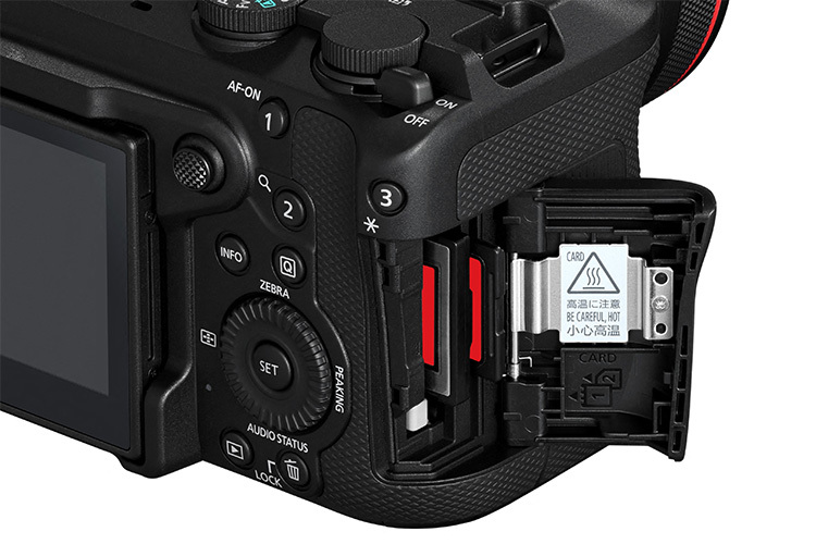 Canon EOS R6 V + RF 20-50mm f/4 IS USM PZ