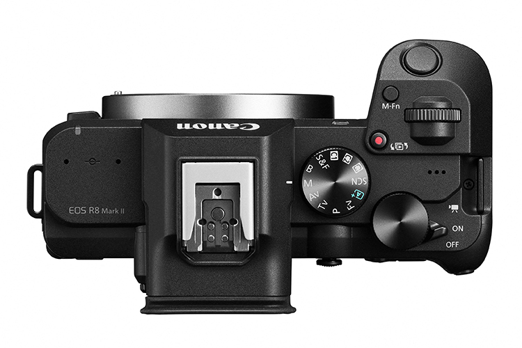 Canon EOS R8 Mark II