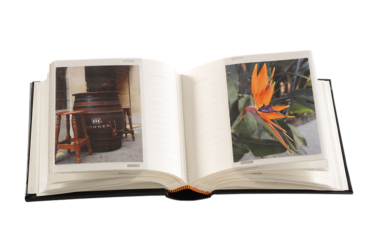 Focus Trend Line Super 100 10x15 Sort