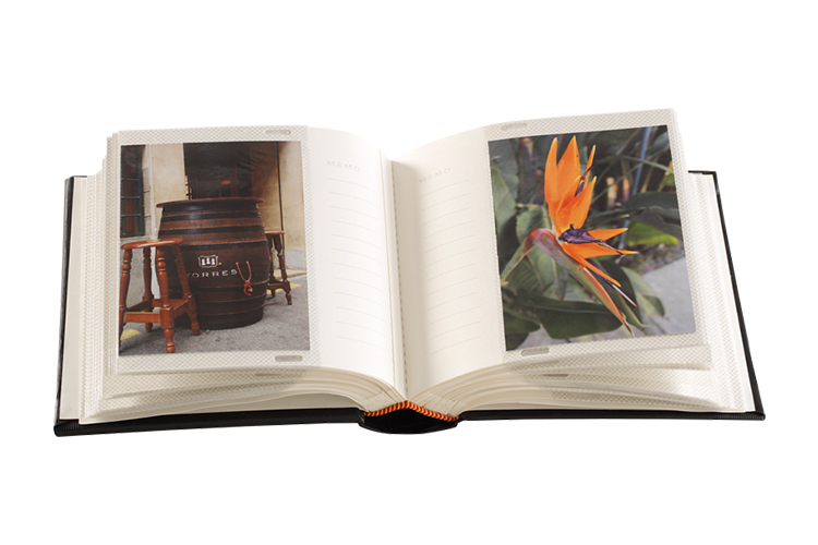 Focus Ritz Super 100 10x15 Svart