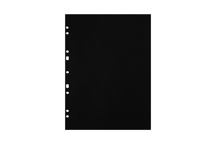 Focus Fotokartong Ringbinder A4 30 ark Svart