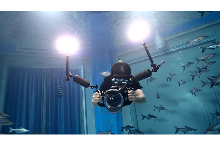 Godox WL8P Vanntett LED-lys