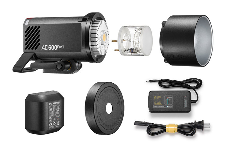 Godox Wistro AD600Pro II