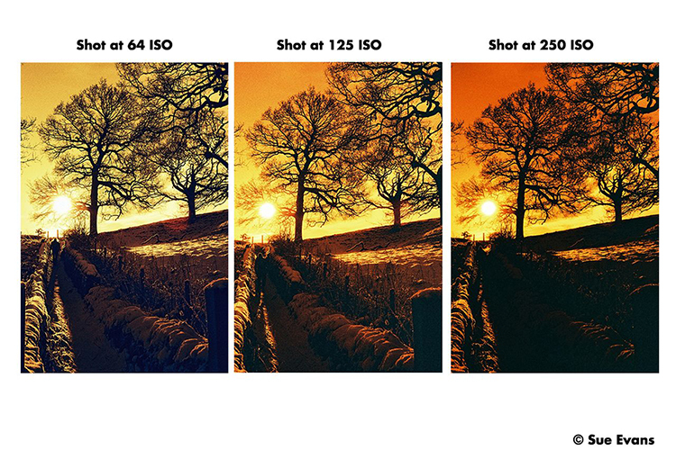 Harman Photo Red ISO 125 36 Bilder