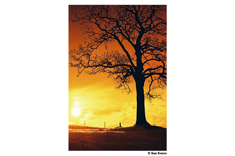 Harman Photo Red ISO 125 36 Bilder