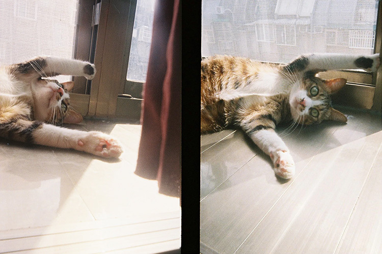 Kodak Ektar H35 Half Frame Gjenbrukskamera Sand