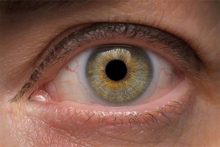 Laowa 90mm f/2.8 2X Ultra Macro APO for Sony FE