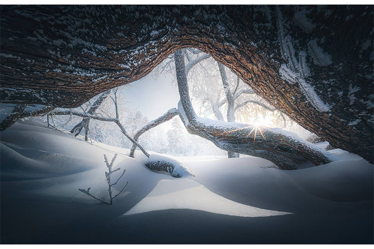 Laowa 10mm f/2.8 Zero-D FF Auto Focus for Sony FE