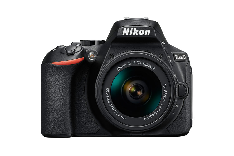 Nikon D5600 + AF-P DX 18-55mm f/3.5-5.6 VR