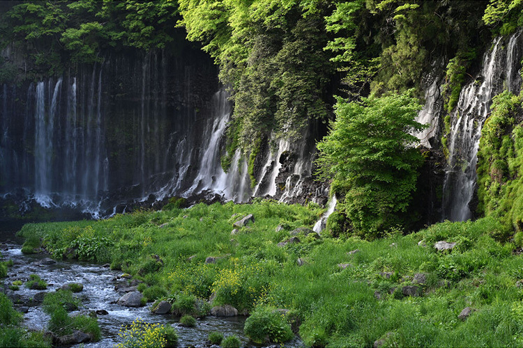 Nikon NIKKOR Z 70-180mm f/2.8