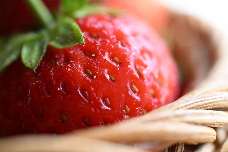 Nikon NIKKOR Z DX MC 35mm f/1.7