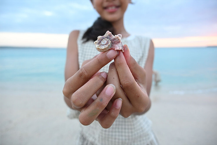 Nikon NIKKOR Z DX 16-50mm f/2.8 VR