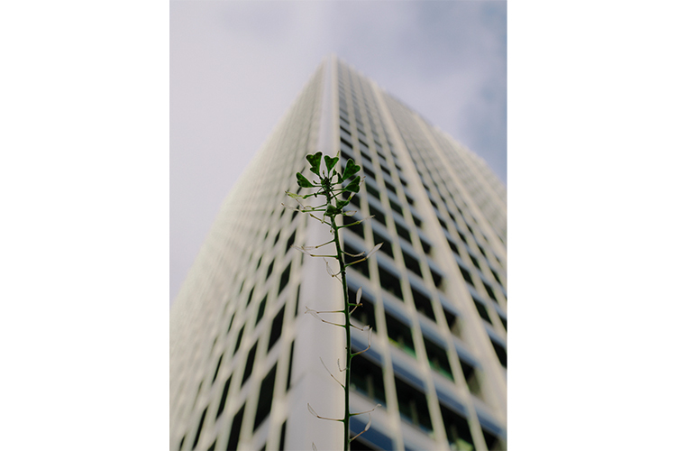 OM SYSTEM OM-3 + 12-45mm f/4 PRO