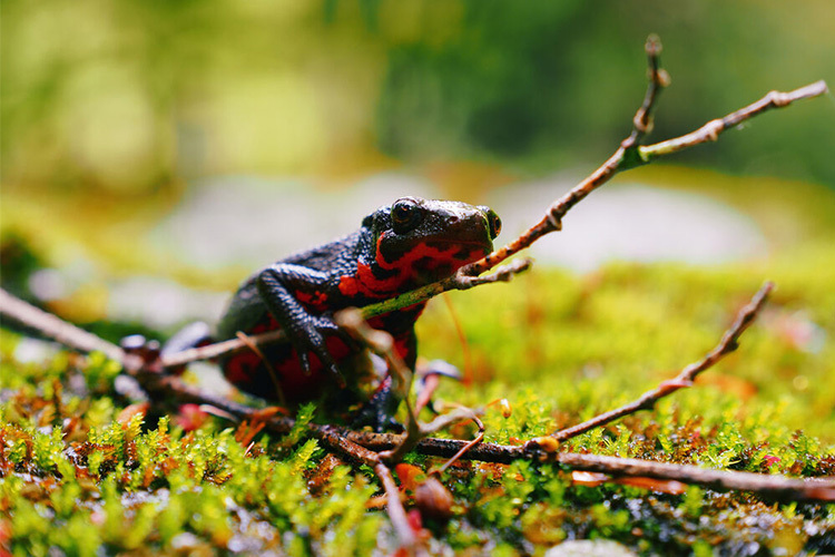 OM SYSTEM OM-5 Mark II + 14-150mm f/4-5.6 II Sølv