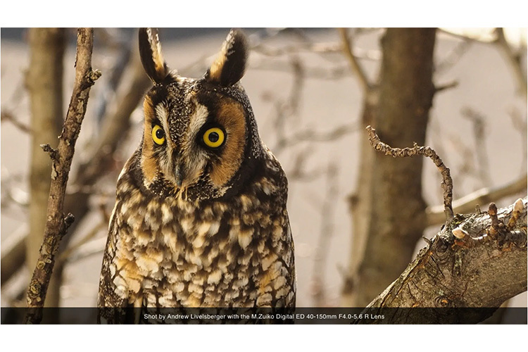 OM SYSTEM M.Zuiko Digital ED 40-150mm R Sort