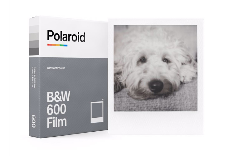 Polaroid Originals Film 600 B&W