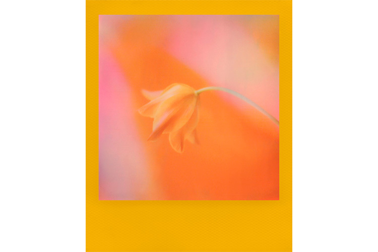 Polaroid Color Film i-Type Color Frame