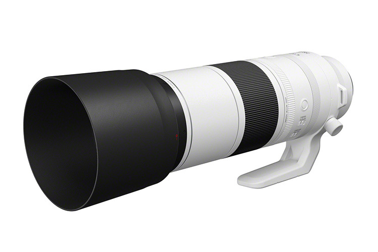 Canon RF 200-800mm f/6.3-9 IS USM