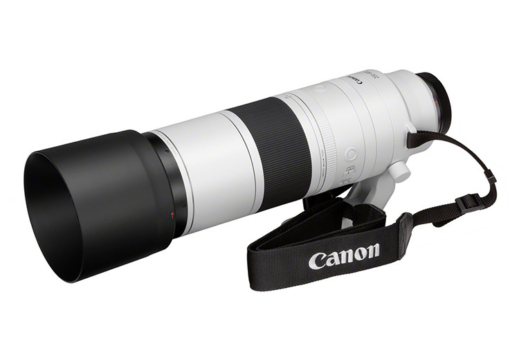 Canon RF 200-800mm f/6.3-9 IS USM