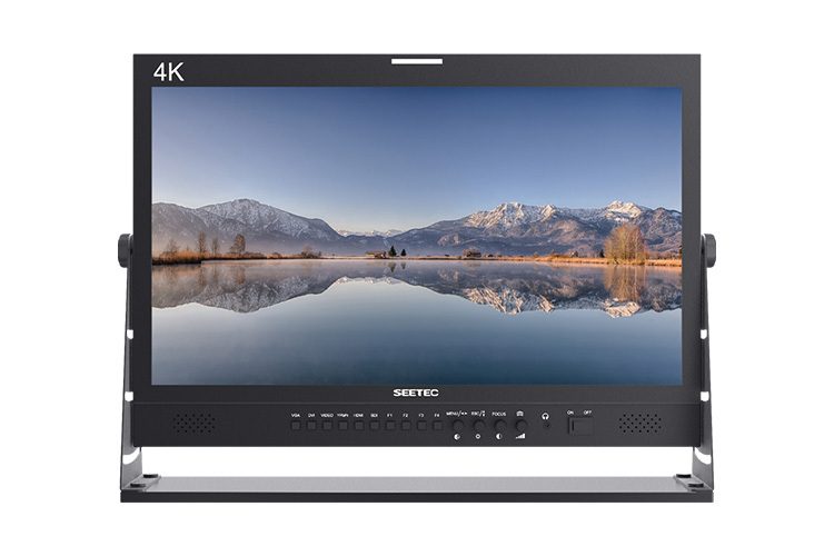SEETEC P215-9HSD Monitor 21.5