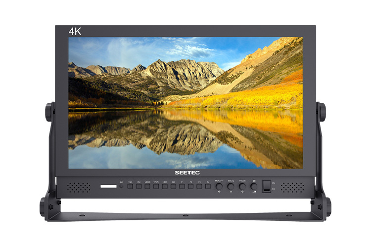 SEETEC P173-9HSD Monitor 17.3
